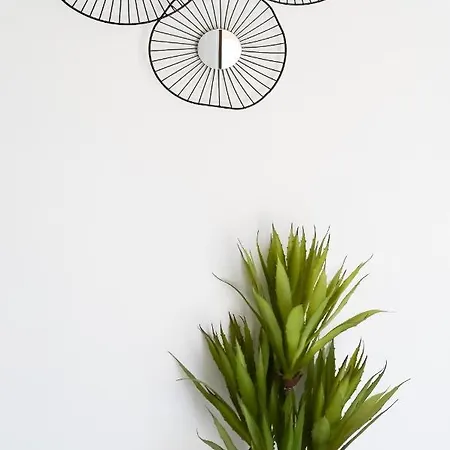 House * 코라레호